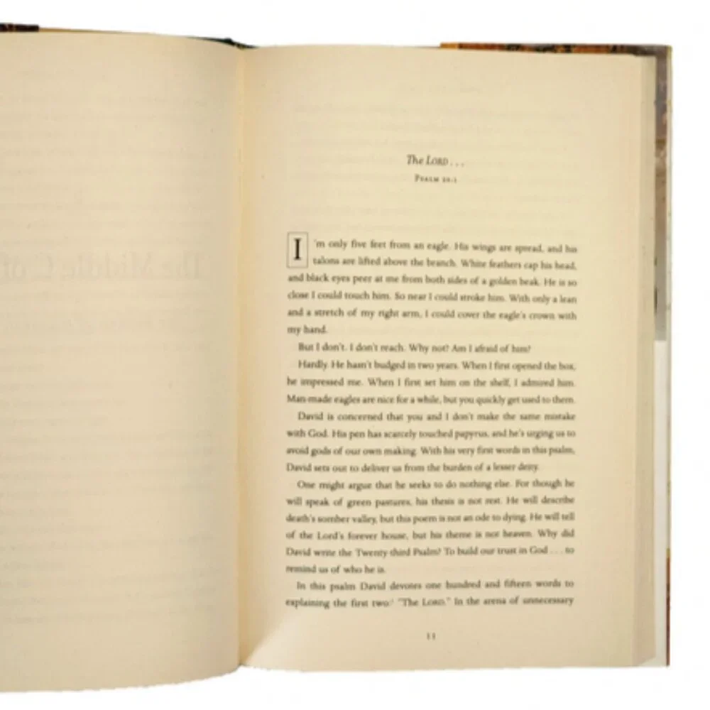 Traveling Light: The Promise of Psalm 23 by Max Lucado NEW